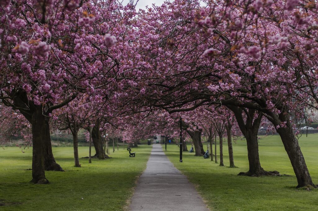 harrogate north yorkshire photographer content creation