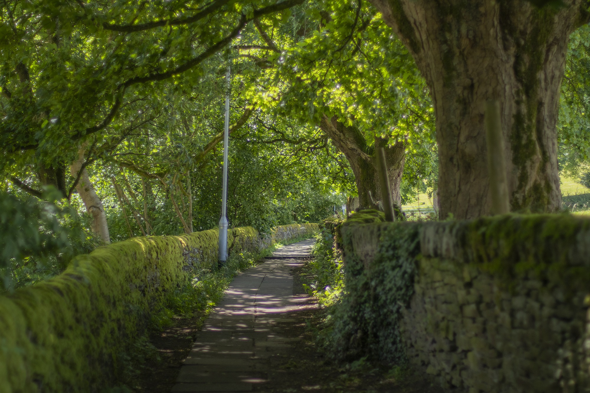 haworth yorkshire photographer bronte country