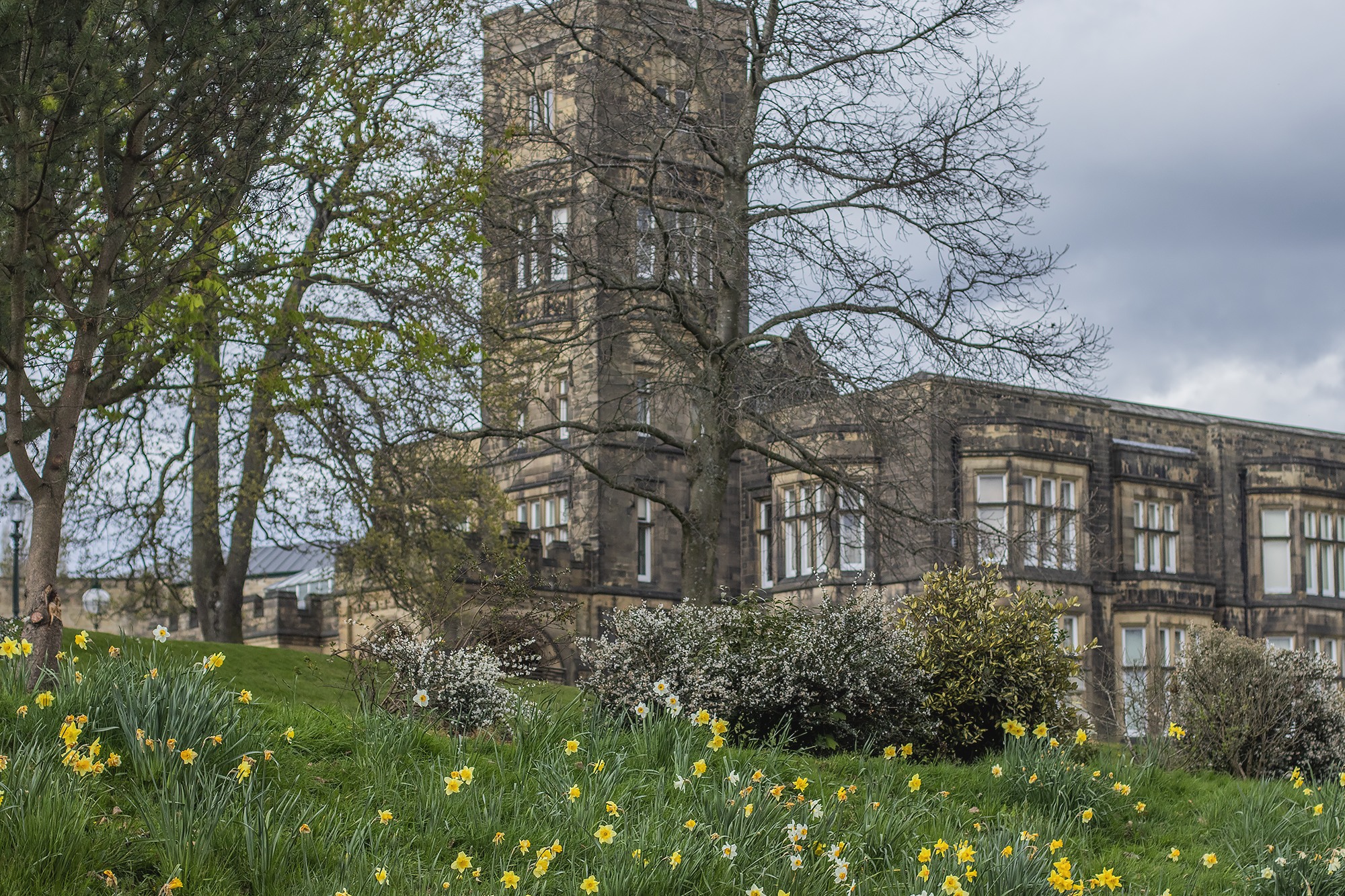keighley yorkshire photographer cliffe castle