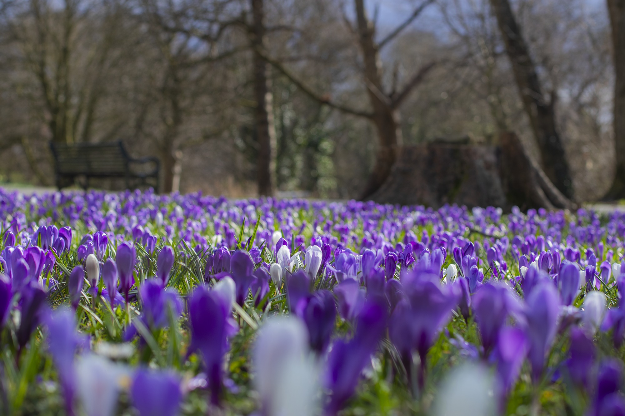 leeds west yorkshire photographer