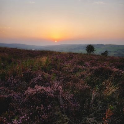 yorkshire moors heather haworth bronte country wuthering heights